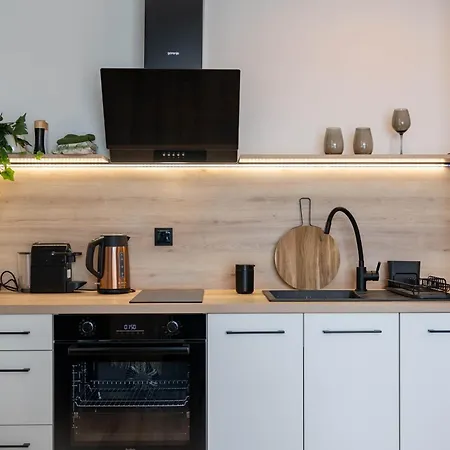 Dream W Kompleksie Laguna Beskidow Przy Jeziorze Zarzecze (Silesia)